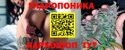 ALPHA PVP Гусев